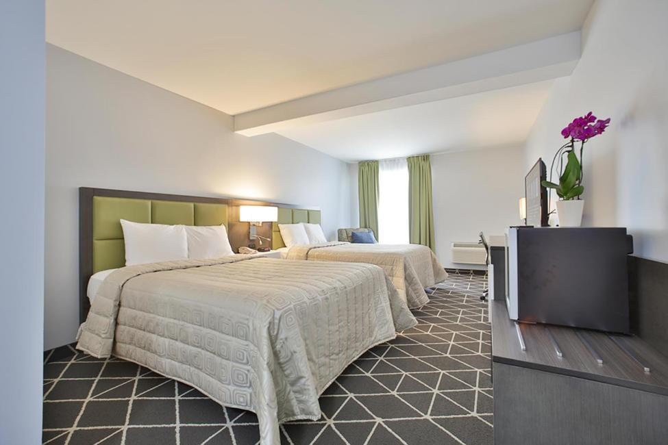 King Hotel Palmerston Экстерьер фото